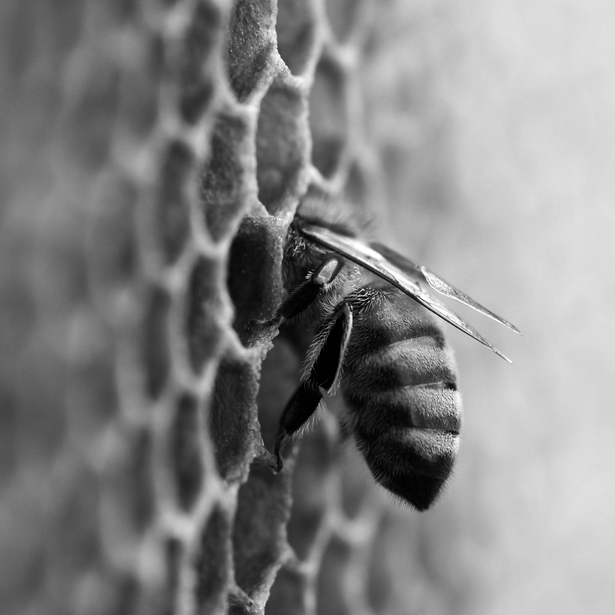 2000x2000_CORSI_OPENDAYS_BV_CR_4_2000x2000