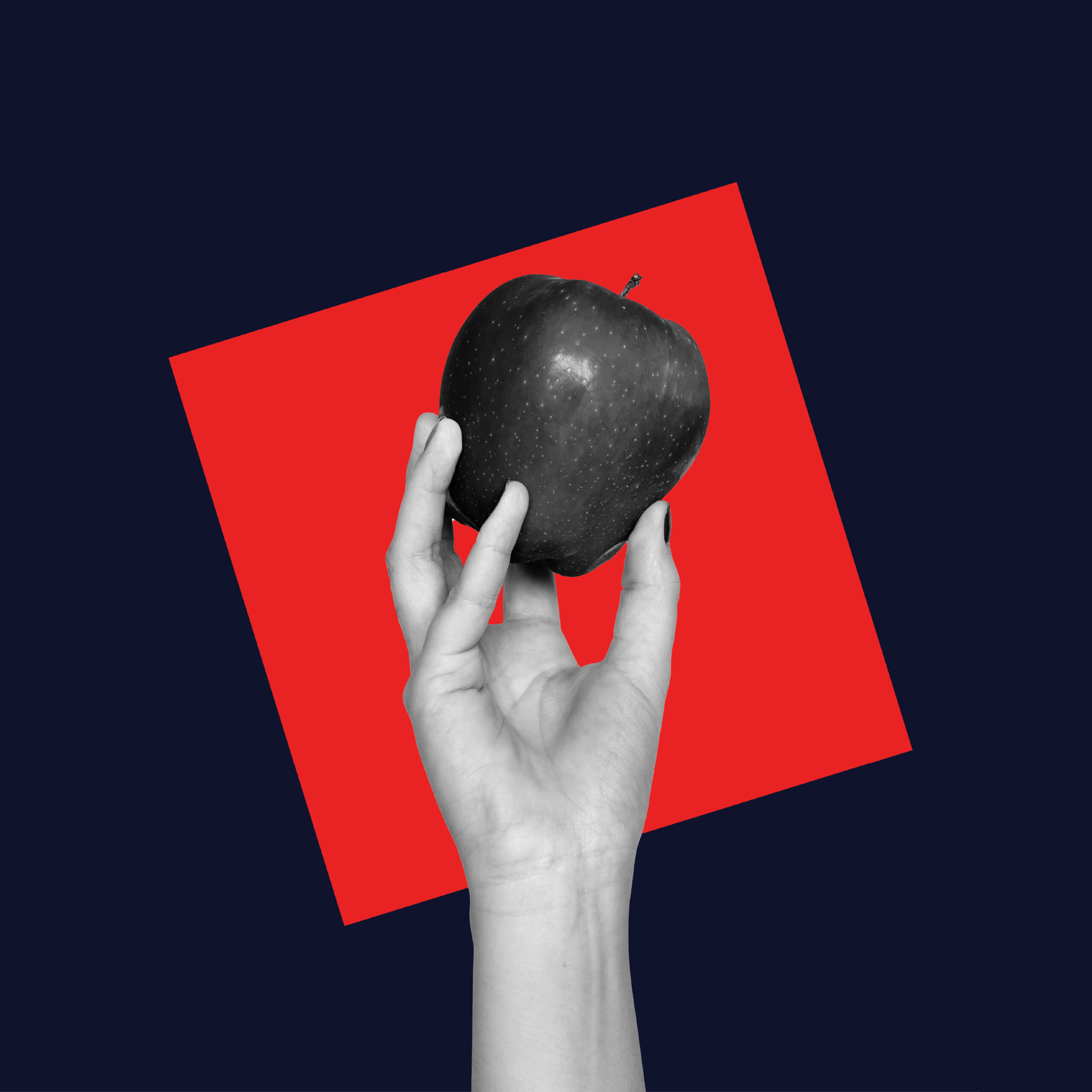 OD_sito-annuale