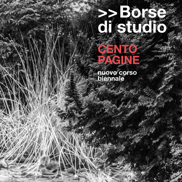 Immagine Essential Grid