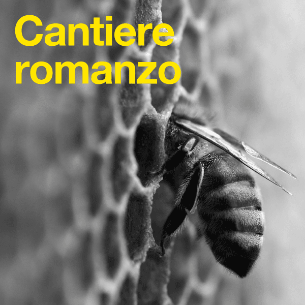 Immagine alternativa