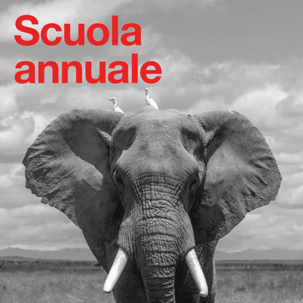 Immagine alternativa