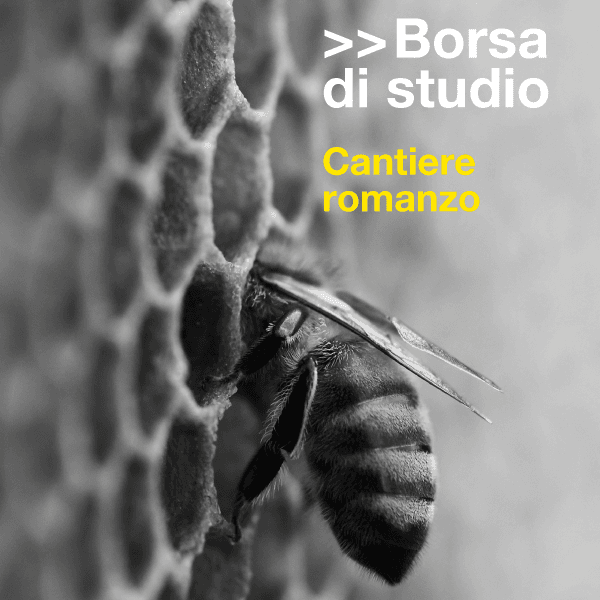 Immagine Essential Grid