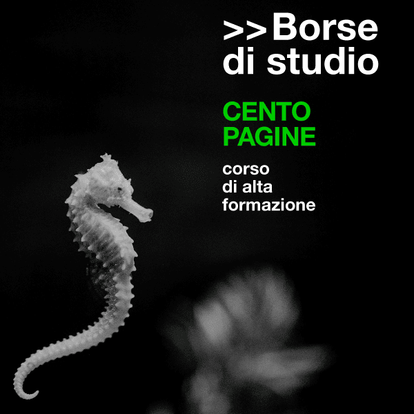 Immagine Essential Grid