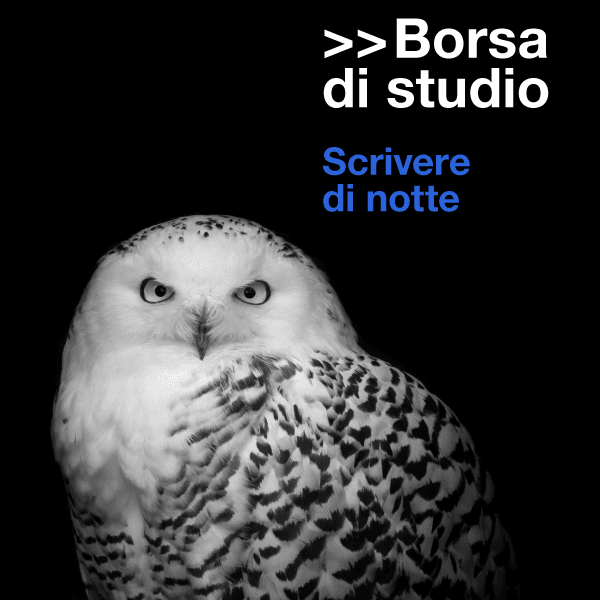 Immagine Essential Grid