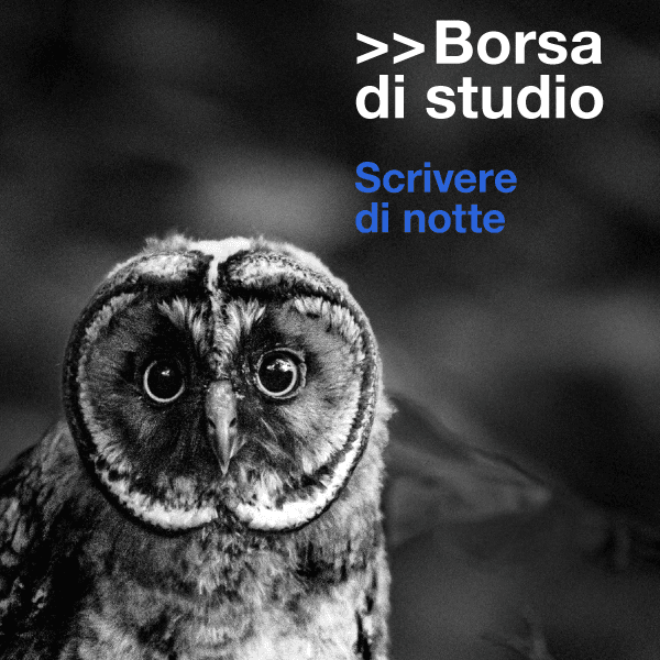 Immagine Essential Grid