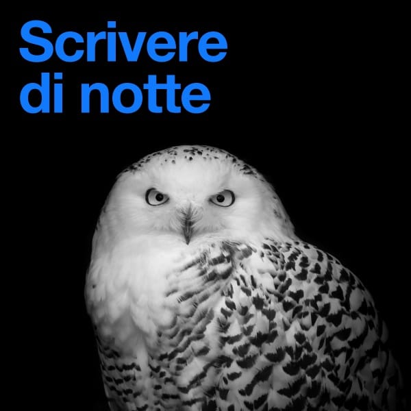 Immagine alternativa