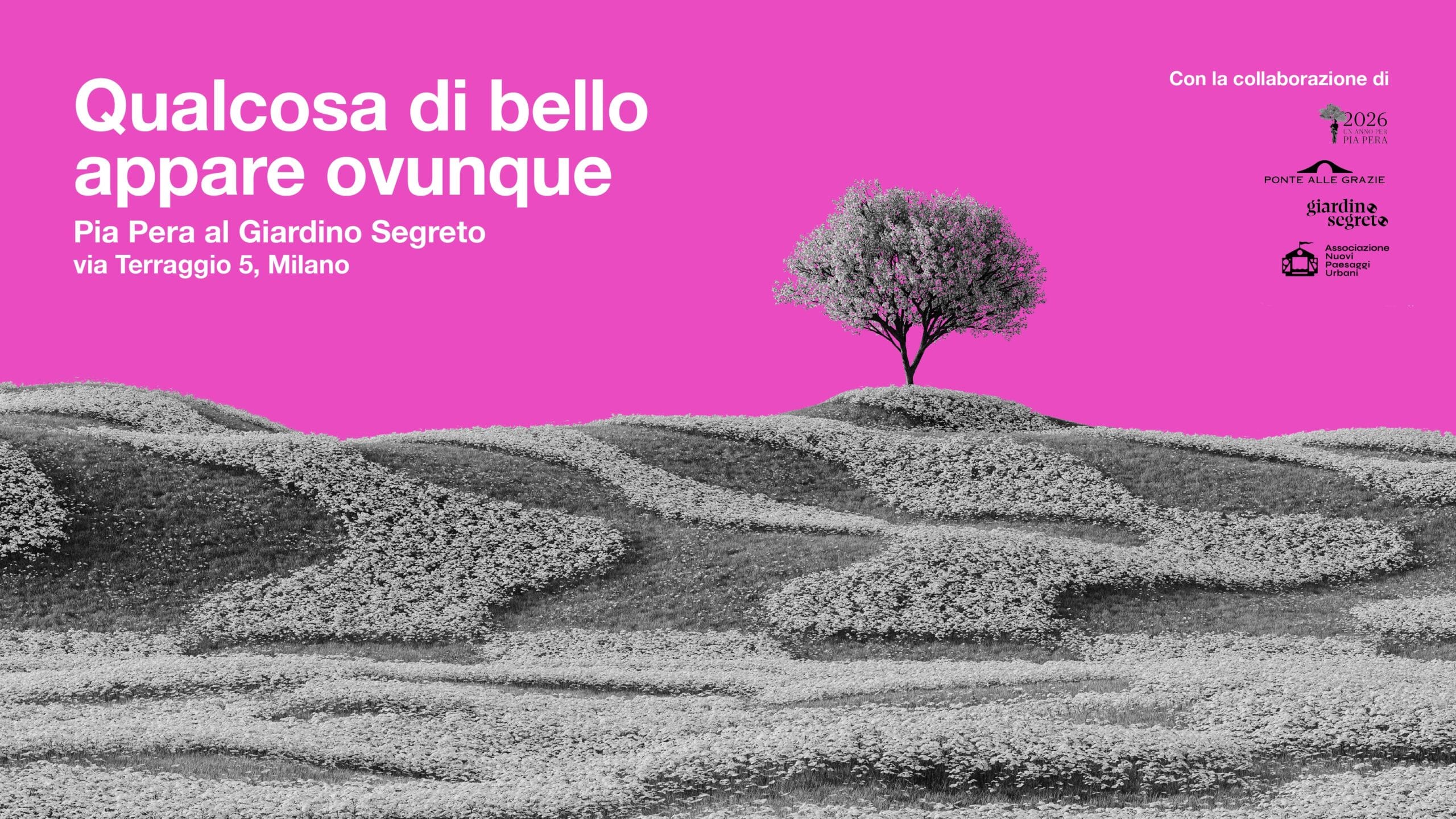 03-26-2026_QDBAO_1920X1080