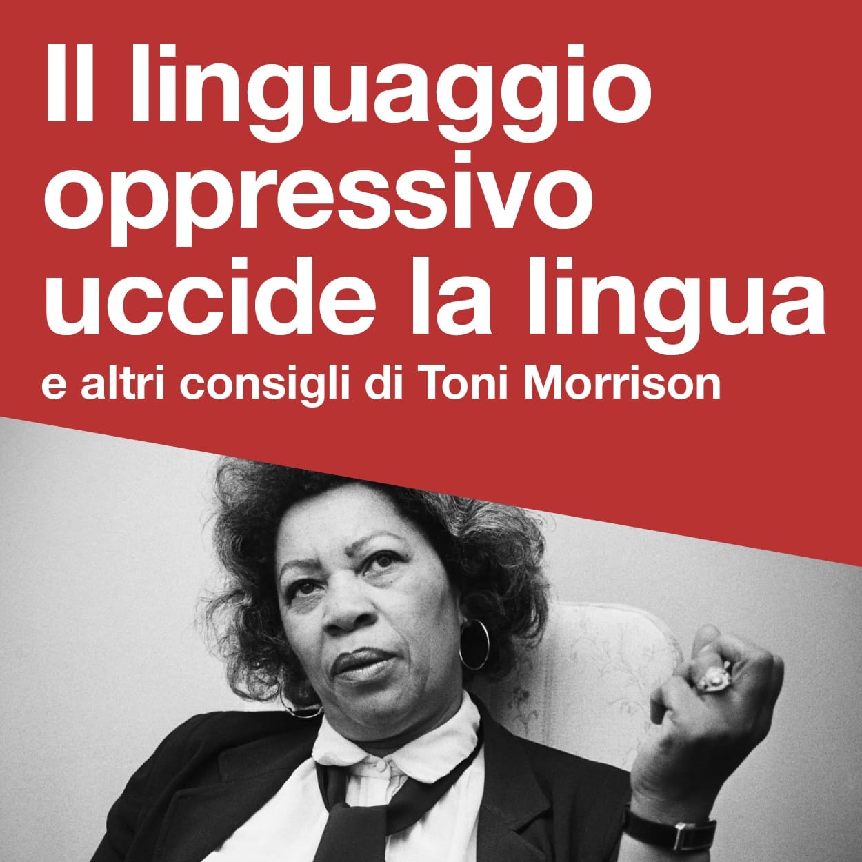 Immagine Essential Grid